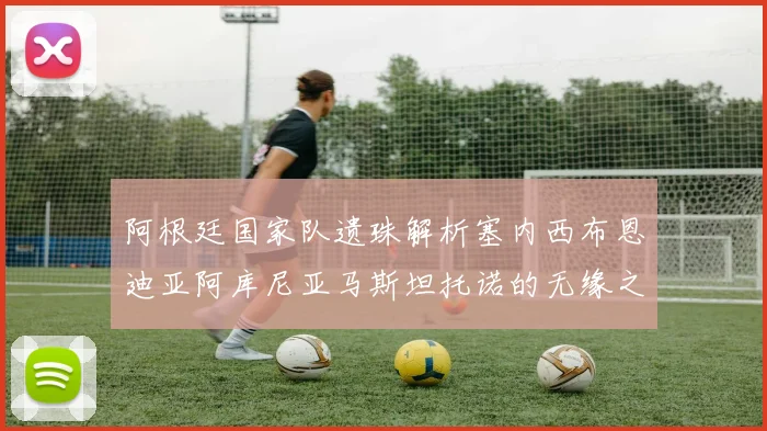阿根廷国家队遗珠解析塞内西布恩迪亚阿库尼亚马斯坦托诺的无缘之路